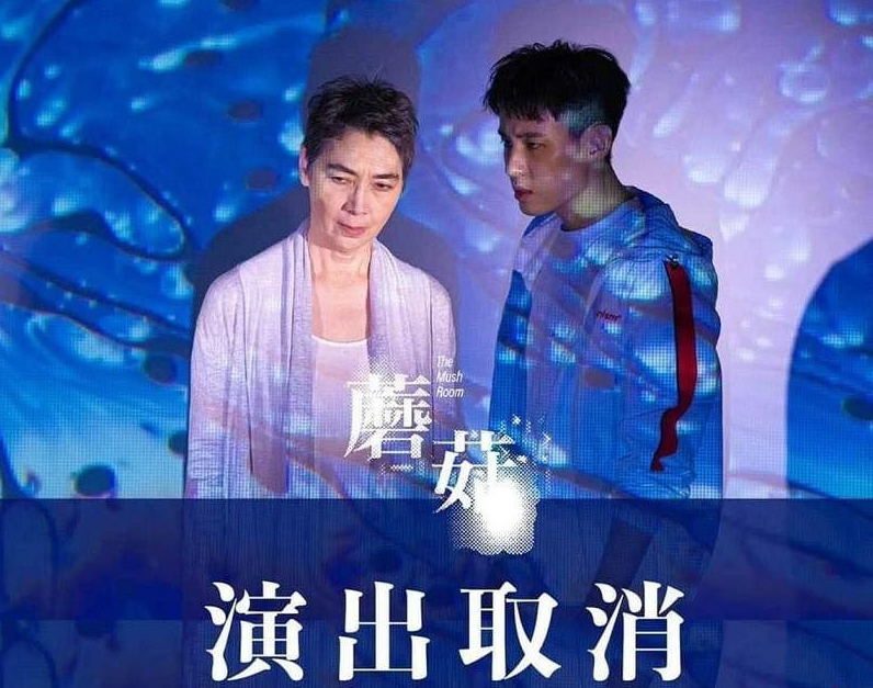 赖佩霞辞演舞台剧被讽:总统府椅子较好坐